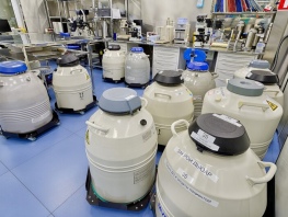 Фото: Заморозка яйцеклеток в Красноярске