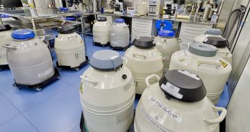 Превью: Заморозка яйцеклеток в Красноярске